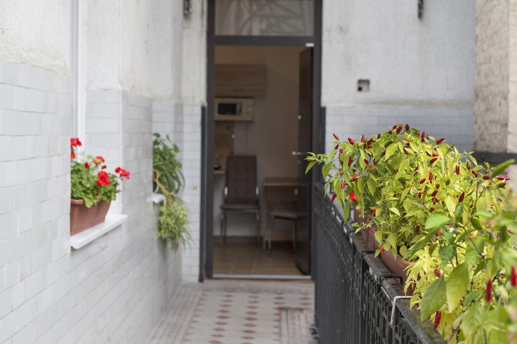 Ariel Studio Close To St. Stephen Basilica, Budapest